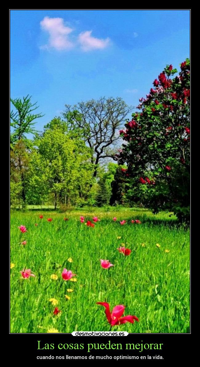 carteles desmotivaciones chopper igbt desmotivaciones