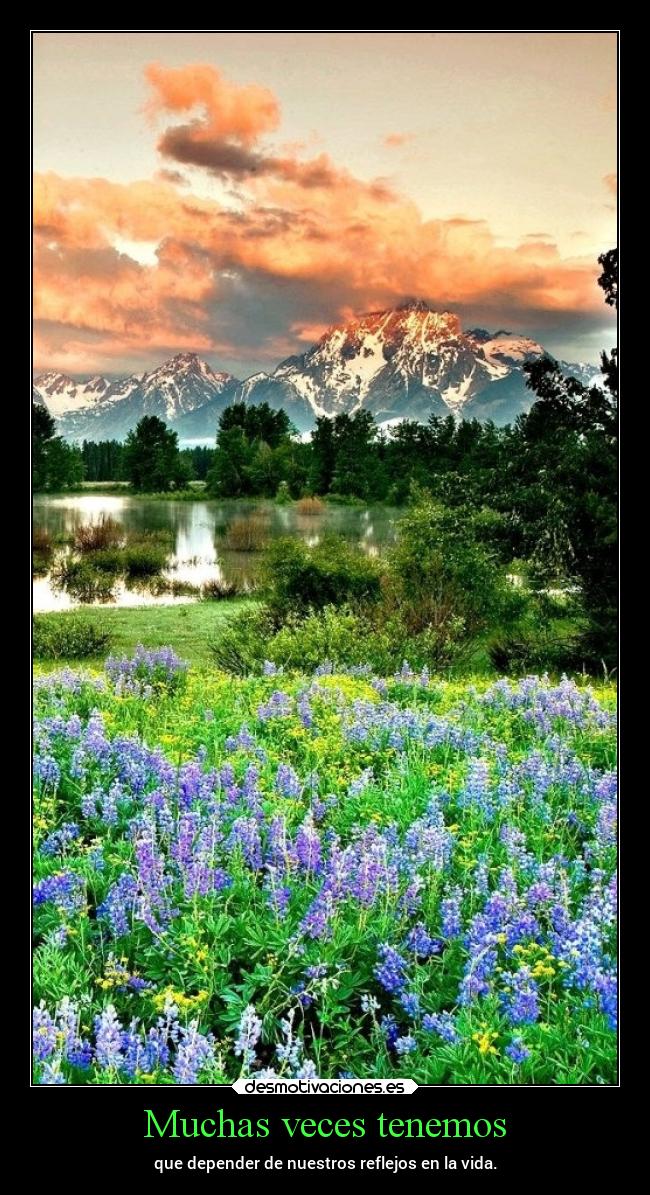 carteles desmotivaciones chopper igbt desmotivaciones