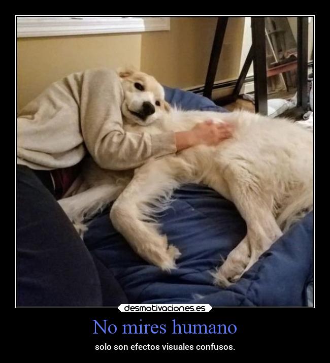 No mires humano -