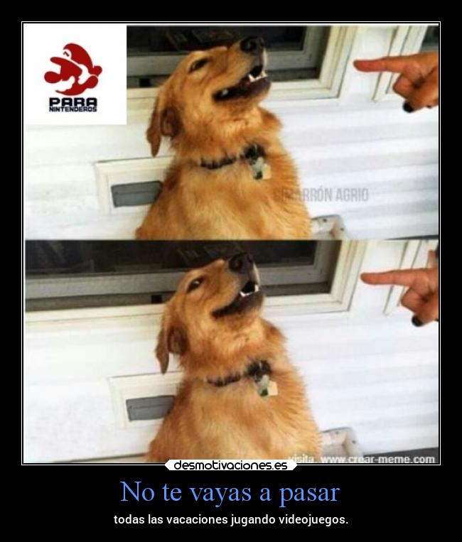 carteles desmotivaciones nooppainolifeunofficial desmotivaciones