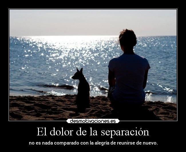 El dolor de la separación -