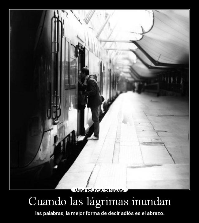 carteles frases abrazos desmotivaciones