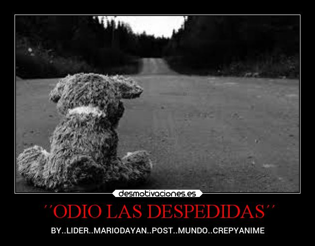 carteles odio anime despedidas marionobross laalianzarebelde losanonimos oso 12071999 desmotivaciones