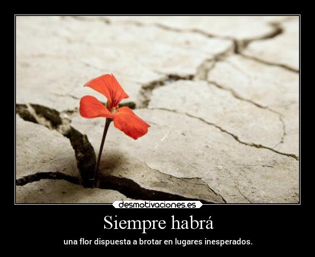 Siempre habrá -