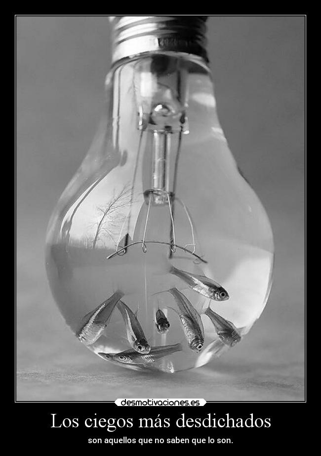 Los ciegos más desdichados - son aquellos que no saben que lo son.