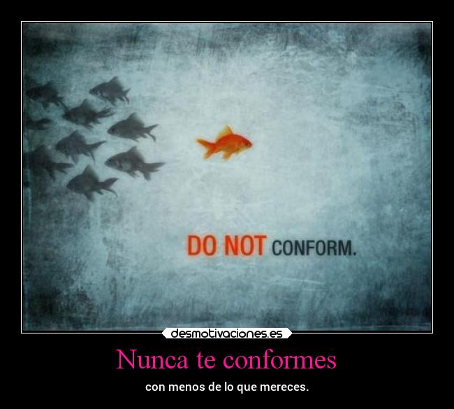 Nunca te conformes -