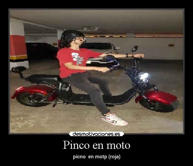 Pinco en moto - picno  en motp (roja)