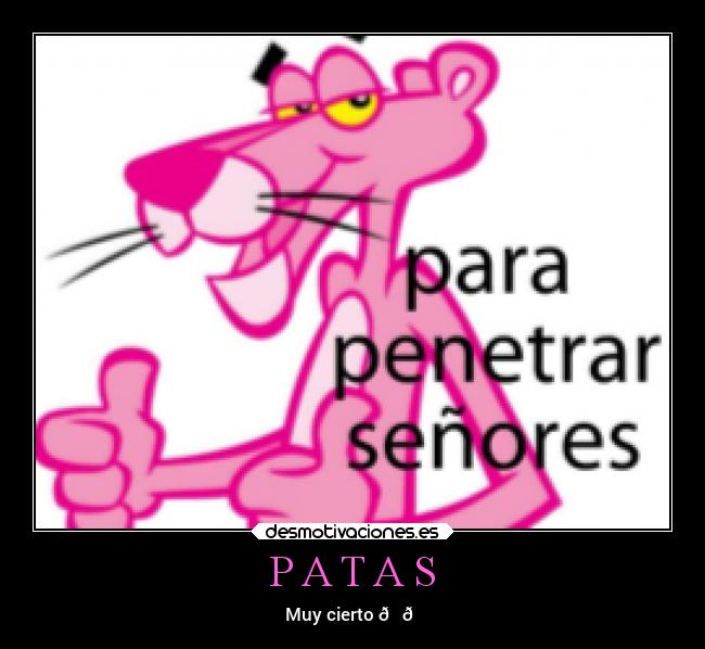 P A T A S - 