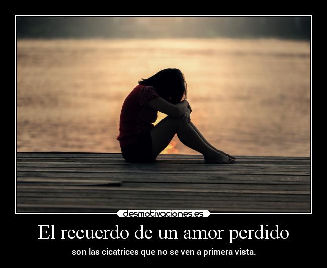 carteles amor amor frases desmotivaciones