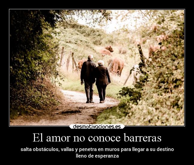 carteles amor amor frases esperanza desmotivaciones