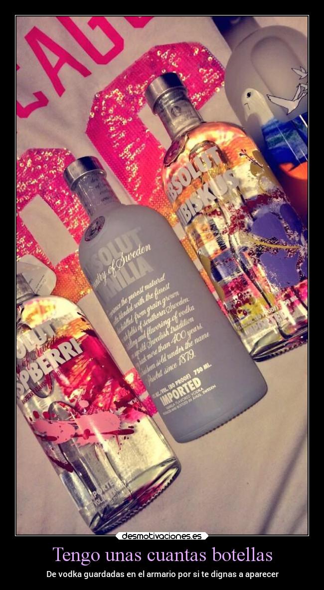 carteles amor yeahbabyvenaquiybesame vodka absolut cuandotecojateloharecomonadietelohahecho tequierosiyque desmotivaciones