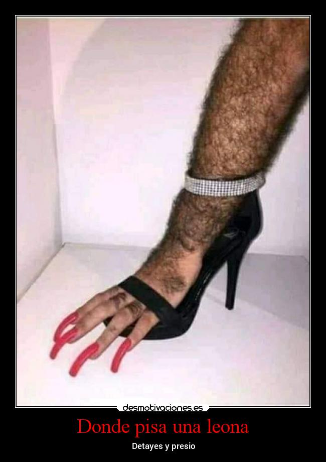 Donde pisa una leona -