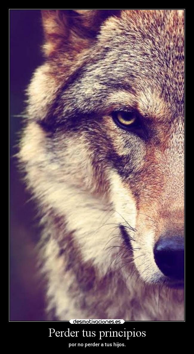 carteles ausencia desmotivaciones