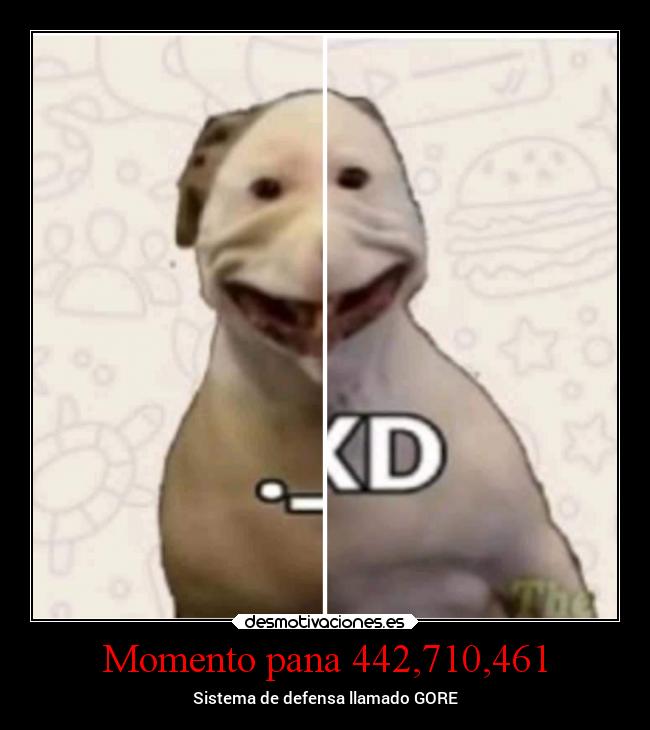 carteles chiste pana desmotivaciones