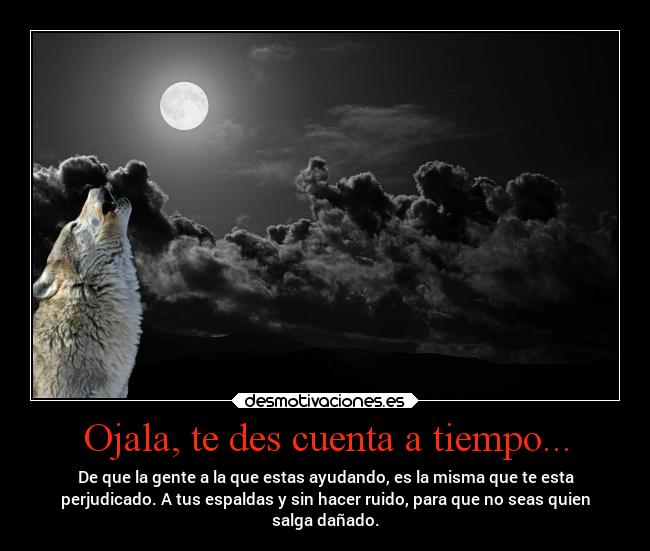 Ojala, te des cuenta a tiempo... - De que la gente a la que estas ayudando, es la misma que te esta
perjudicado. A tus espaldas y sin hacer ruido, para que no seas quien
salga dañado.