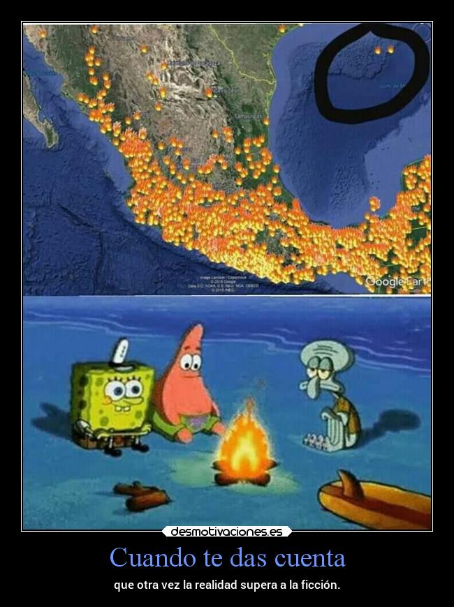 carteles desmotivaciones amor nooppainolifeunofficial bob esponja desmotivaciones