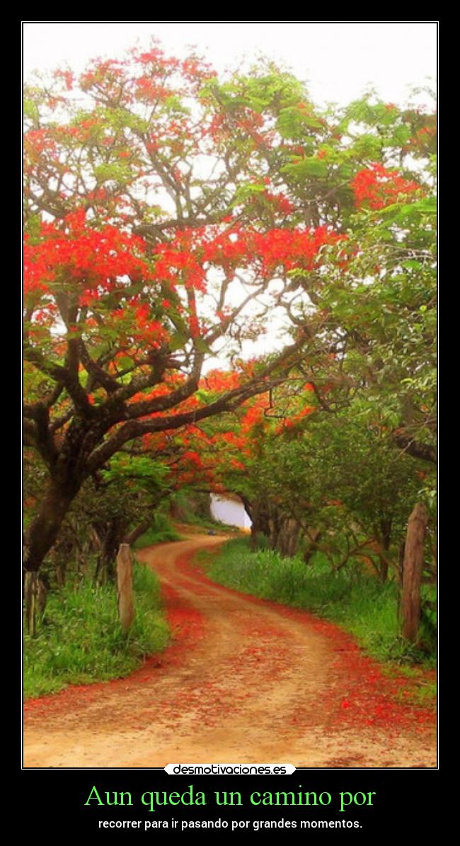 Aun queda un camino por -