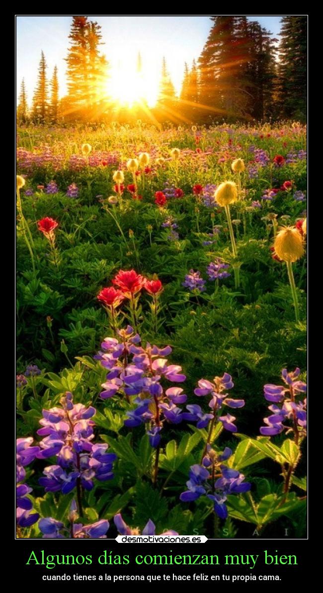 Algunos días comienzan muy bien -