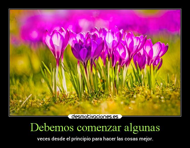 Debemos comenzar algunas -