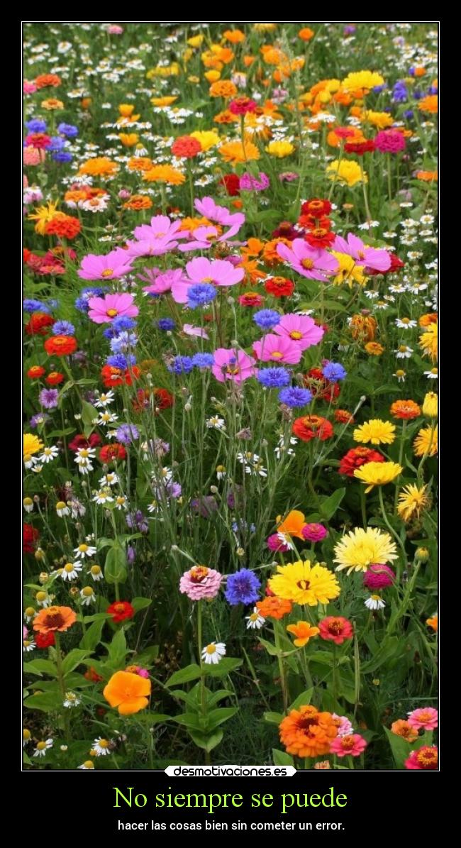 No siempre se puede -