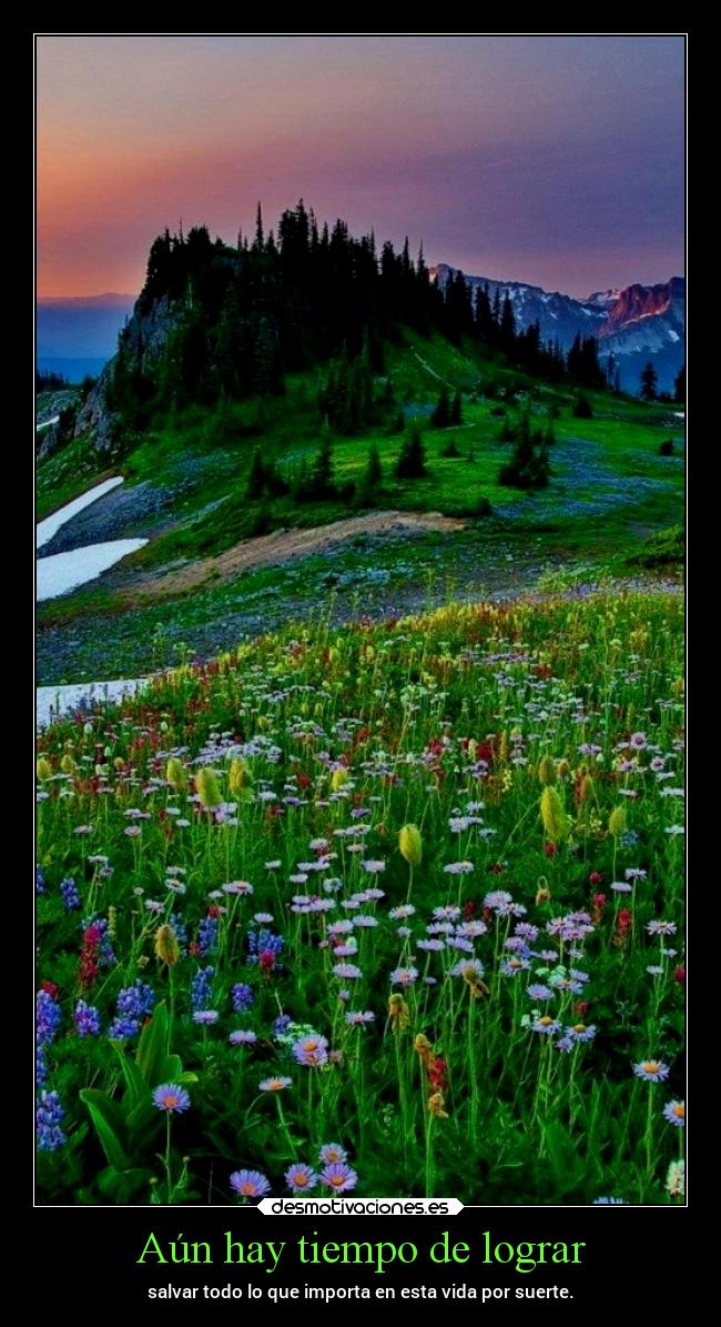Aún hay tiempo de lograr - 
