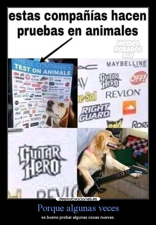 Porque algunas veces -