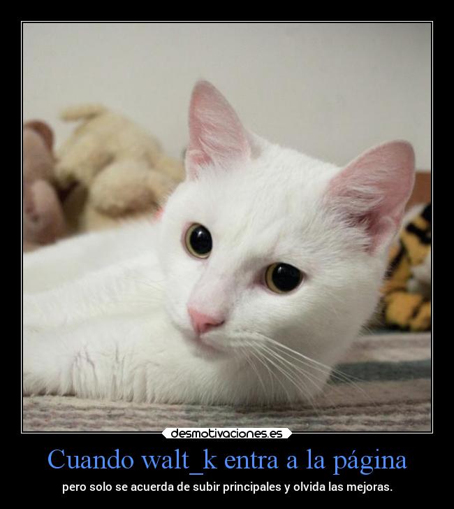 carteles desmotivaciones nooppainolifeunofficial waltk desmotivaciones