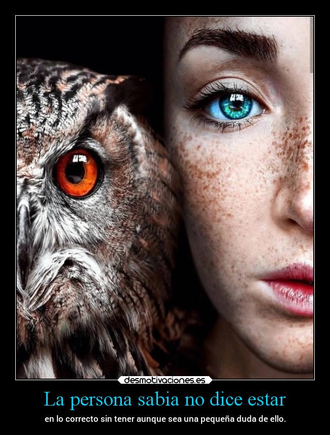 carteles desmotivaciones vida clandesplazado soyunidiotatm projectd manada32 desmotivaciones