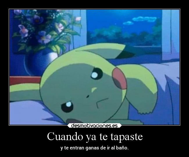 Cuando ya te tapaste - y te entran ganas de ir al baño.