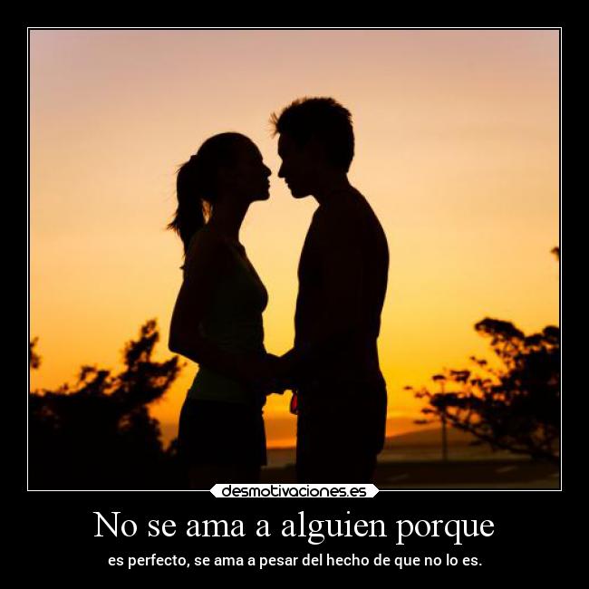 carteles frases amor desmotivaciones