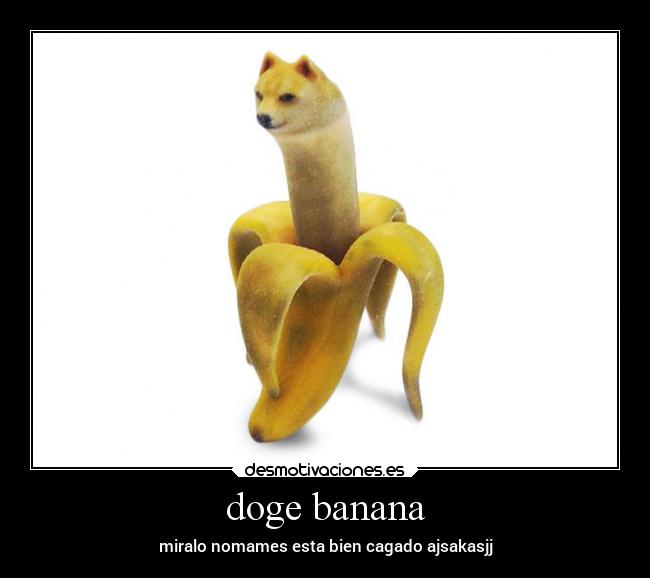 doge banana - miralo nomames esta bien cagado ajsakasjj