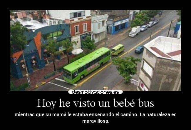 Hoy he visto un bebé bus - mientras que su mamá le estaba enseñando el camino. La naturaleza es
maravillosa.