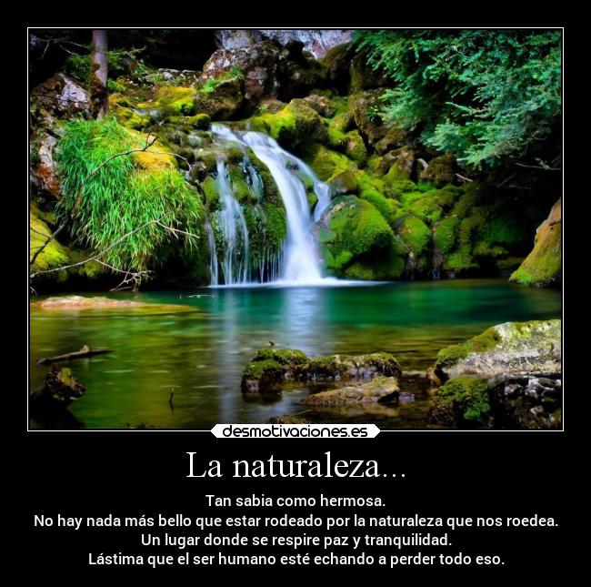 La naturaleza... - Tan sabia como hermosa.
No hay nada más bello que estar rodeado por la naturaleza que nos roedea.
Un lugar donde se respire paz y tranquilidad.
Lástima que el ser humano esté echando a perder todo eso.