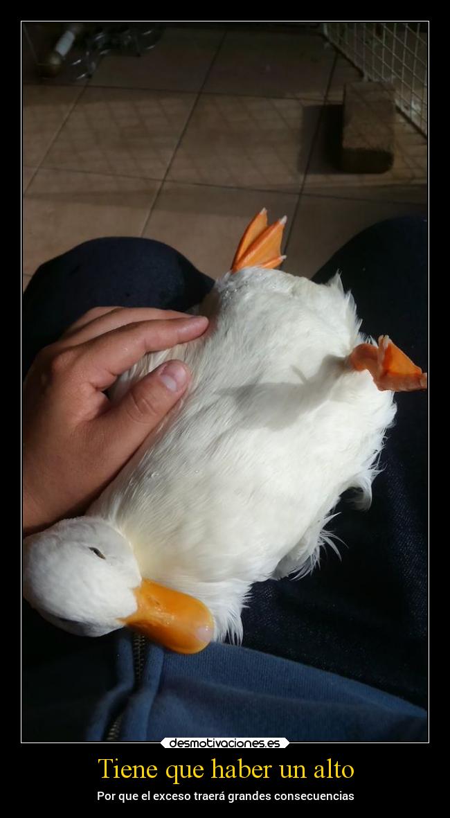 Tiene que haber un alto - Por que el exceso traerá grandes consecuencias