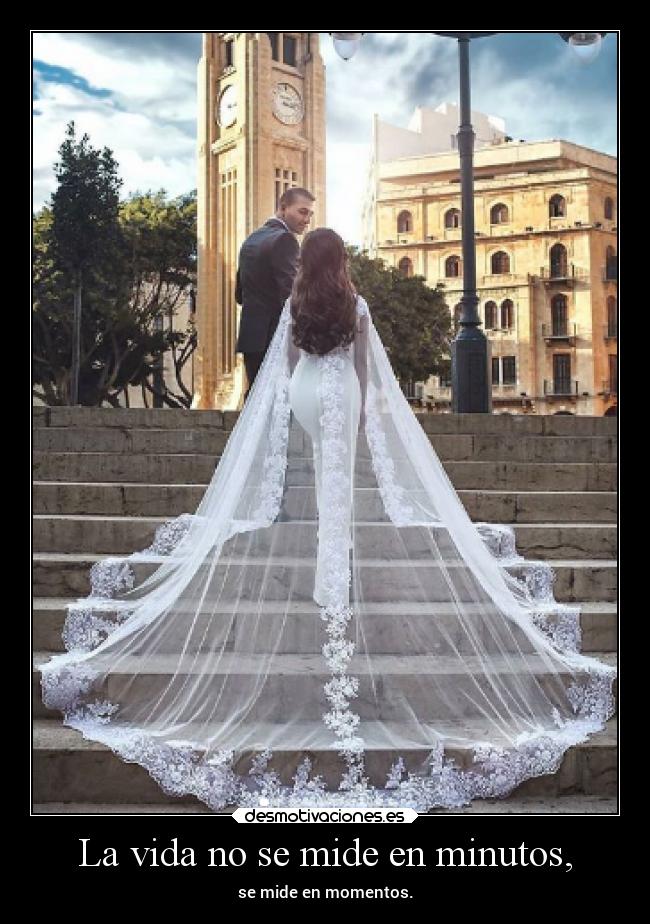 carteles vida alegria dosguiond opalescence suhail alex desmotivaciones