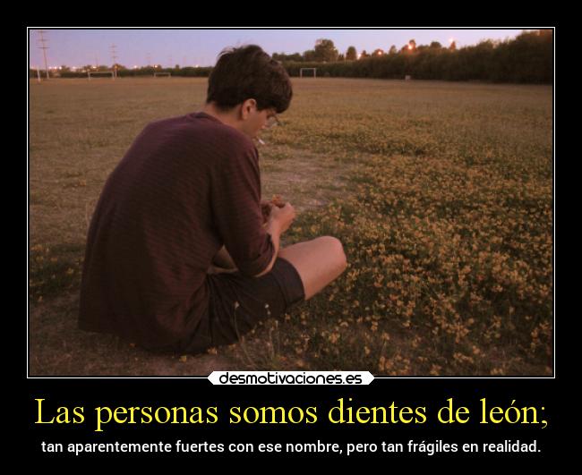 Las personas somos dientes de león; - tan aparentemente fuertes con ese nombre, pero tan frágiles en realidad.