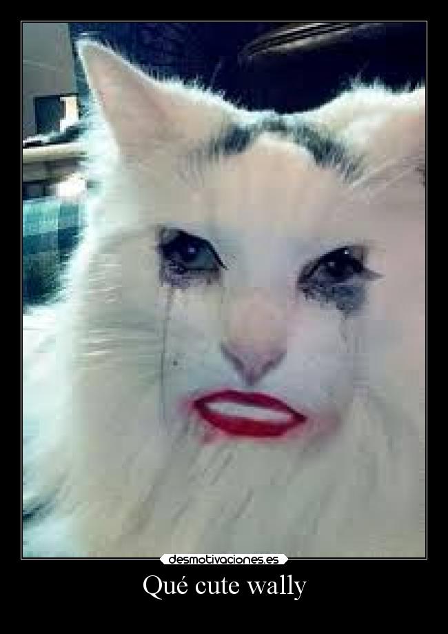 Qué cute wally - 