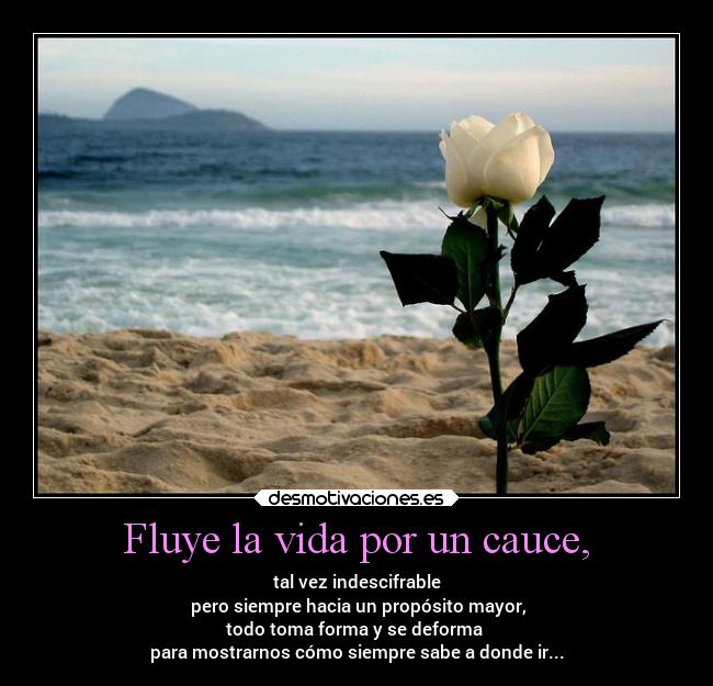 Fluye la vida por un cauce, - tal vez indescifrable
pero siempre hacia un propósito mayor,
todo toma forma y se deforma
para mostrarnos cómo siempre sabe a donde ir...