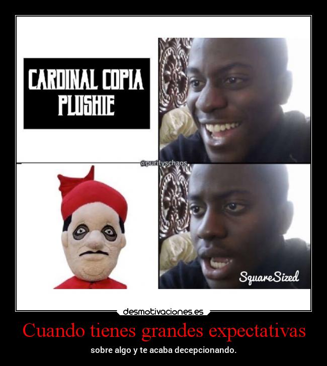 Cuando tienes grandes expectativas -