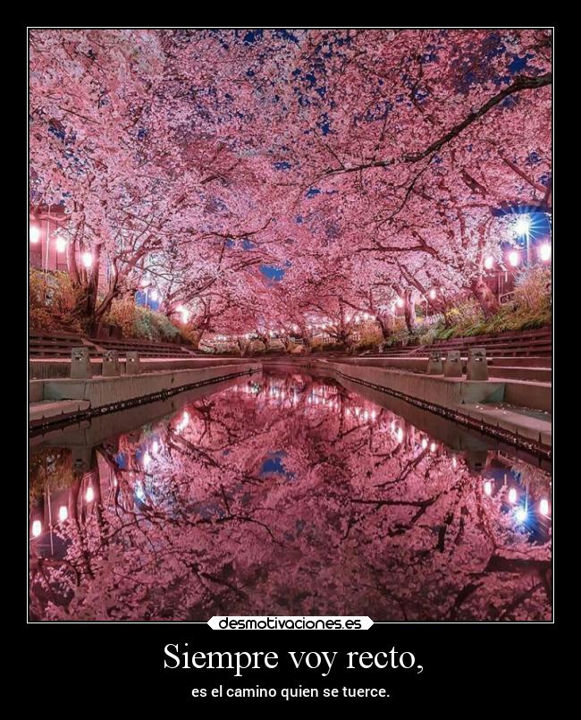 carteles vida unailusion desmotivaciones