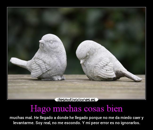 Hago muchas cosas bien - muchas mal. He llegado a donde he llegado porque no me da miedo caer y
levantarme. Soy real, no me escondo. Y mi peor error es no ignorarlos.