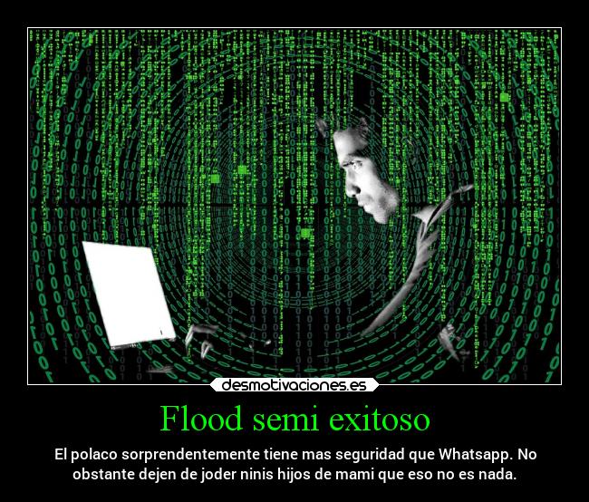 Flood semi exitoso - El polaco sorprendentemente tiene mas seguridad que Whatsapp. No
obstante dejen de joder ninis hijos de mami que eso no es nada.
