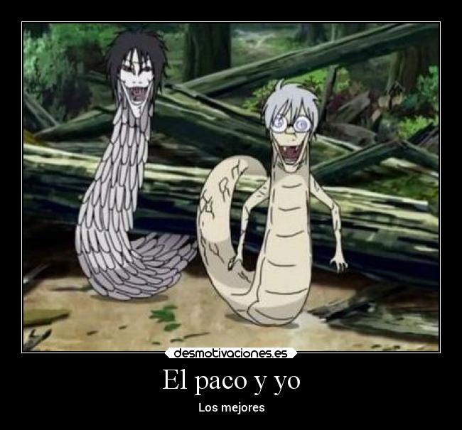 carteles anime animales desmotivaciones