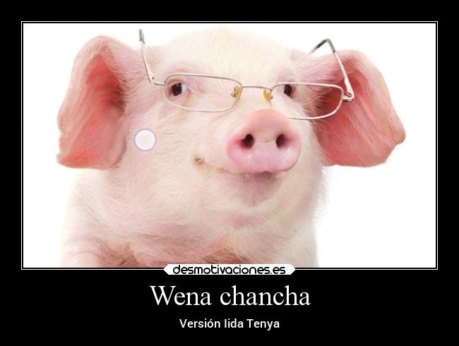 Wena chancha -