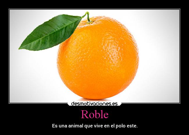 carteles ayuda desmotivaciones