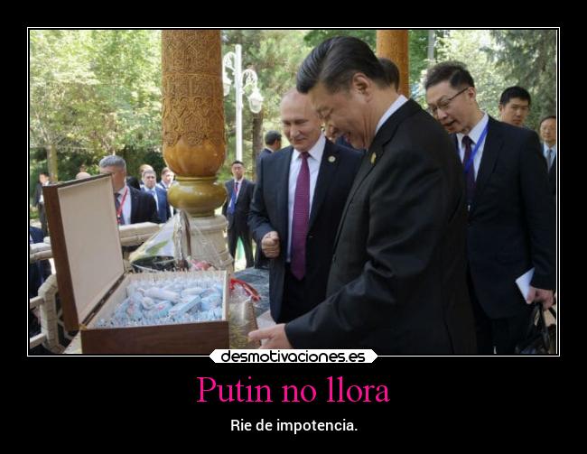 Putin no llora - Rie de impotencia.