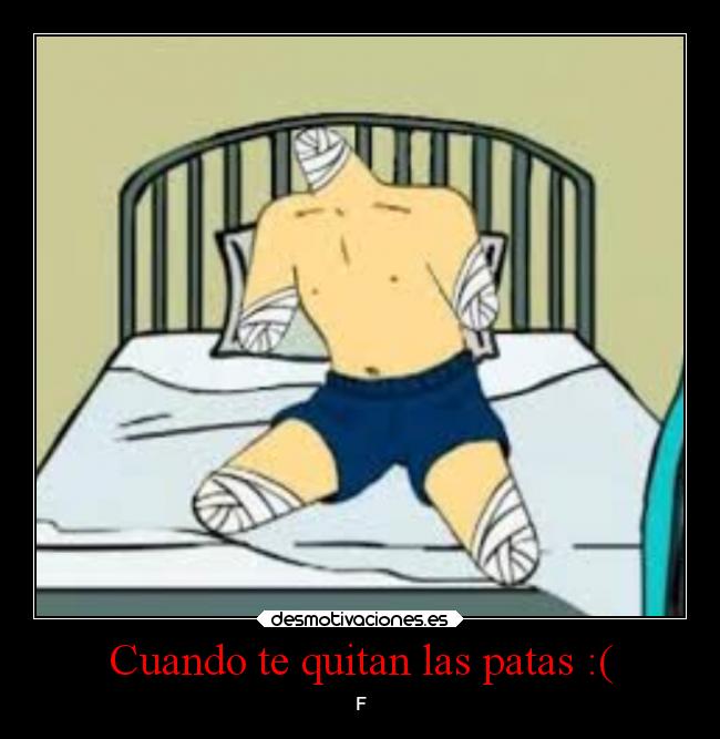 Cuando te quitan las patas :( - 