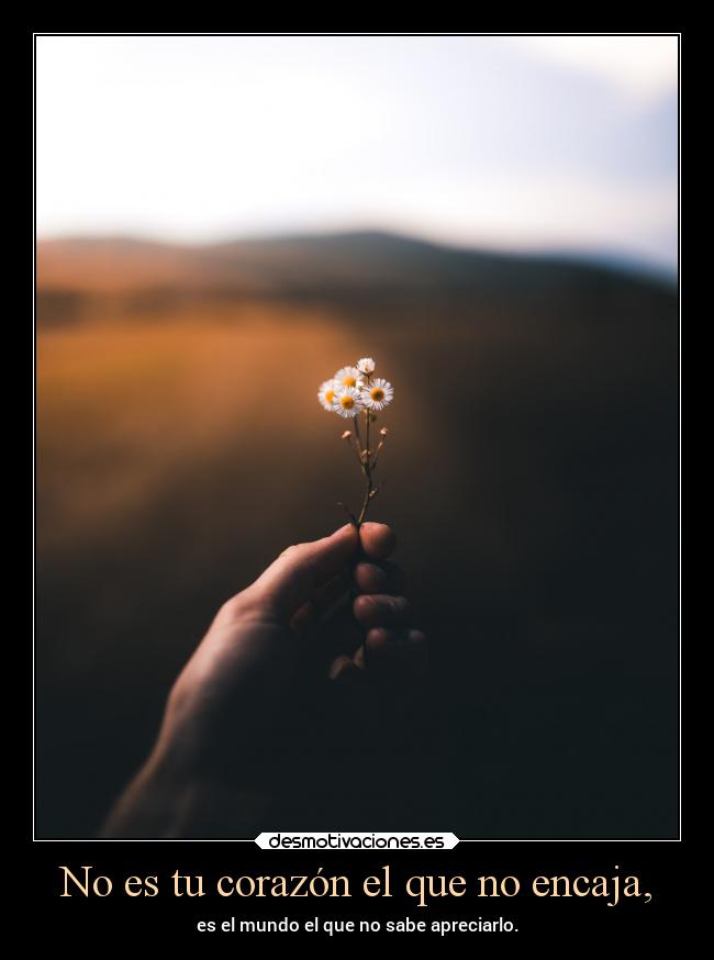 No es tu corazón el que no encaja, -