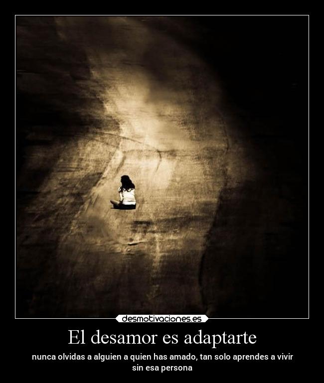 carteles desamor frases desamor vida desmotivaciones