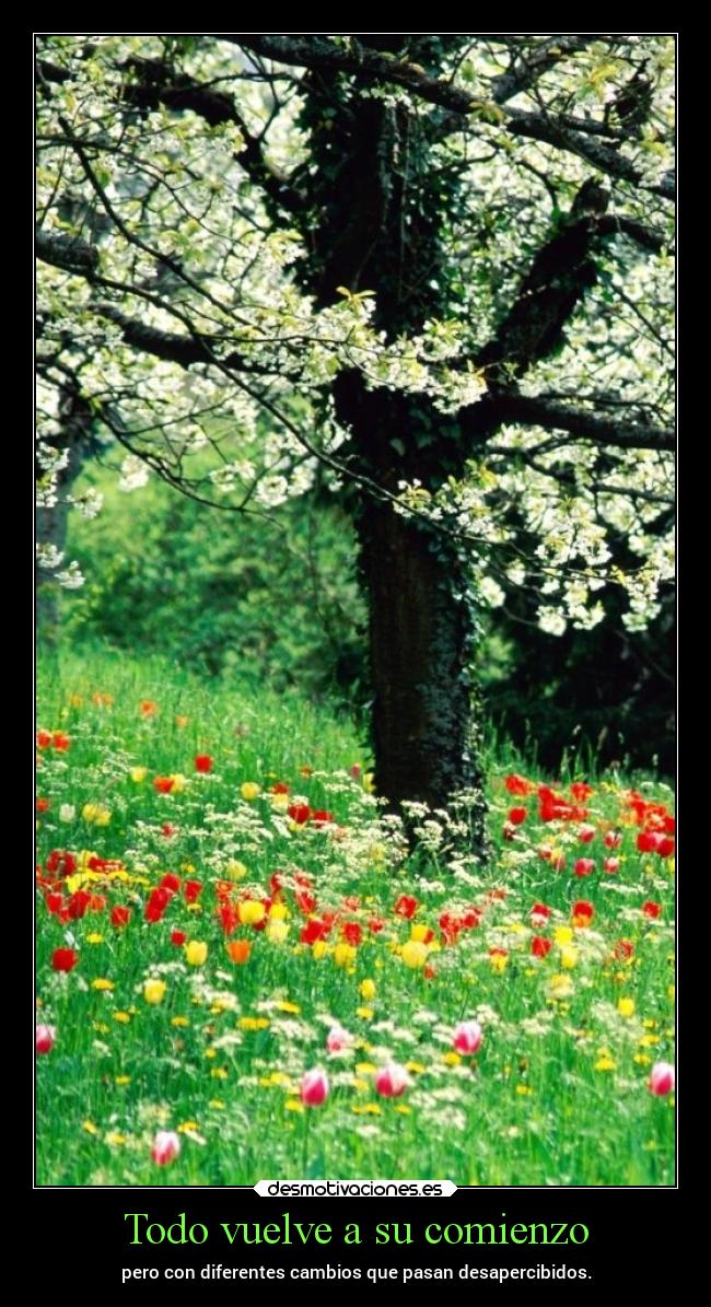 Todo vuelve a su comienzo - pero con diferentes cambios que pasan desapercibidos.